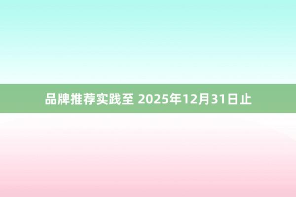 品牌推荐实践至 2025年12月31日止