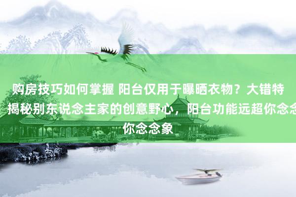 购房技巧如何掌握 阳台仅用于曝晒衣物？大错特错！揭秘别东说念主家的创意野心，阳台功能远超你念念象