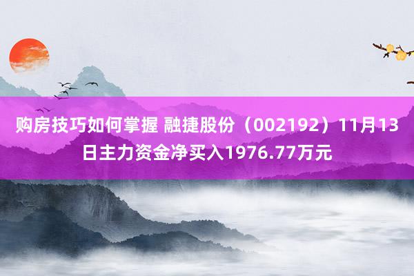 购房技巧如何掌握 融捷股份（002192）11月13日主力资金净买入1976.77万元