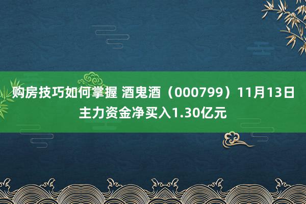 购房技巧如何掌握 酒鬼酒（000799）11月13日主力资金净买入1.30亿元