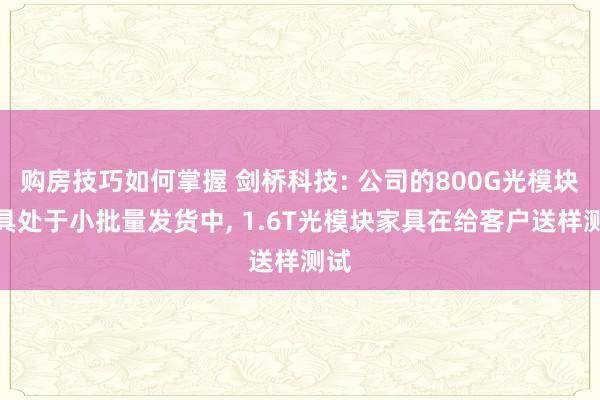 购房技巧如何掌握 剑桥科技: 公司的800G光模块家具处于小批量发货中, 1.6T光模块家具在给客户送样测试