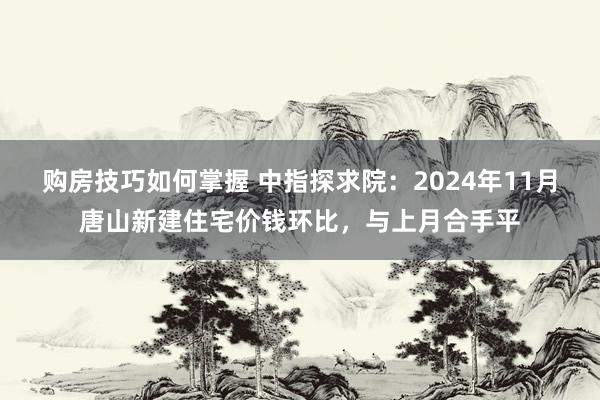 购房技巧如何掌握 中指探求院：2024年11月唐山新建住宅价钱环比，与上月合手平