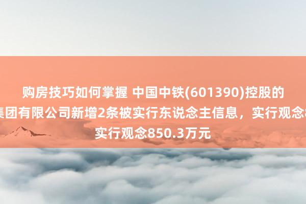 购房技巧如何掌握 中国中铁(601390)控股的中铁建工集团有限公司新增2条被实行东说念主信息，实行观念850.3万元