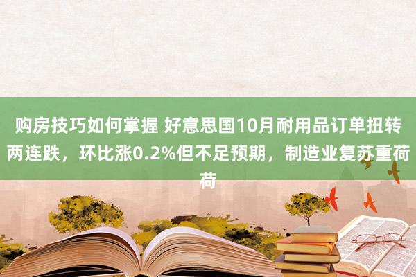 购房技巧如何掌握 好意思国10月耐用品订单扭转两连跌，环比涨0.2%但不足预期，制造业复苏重荷