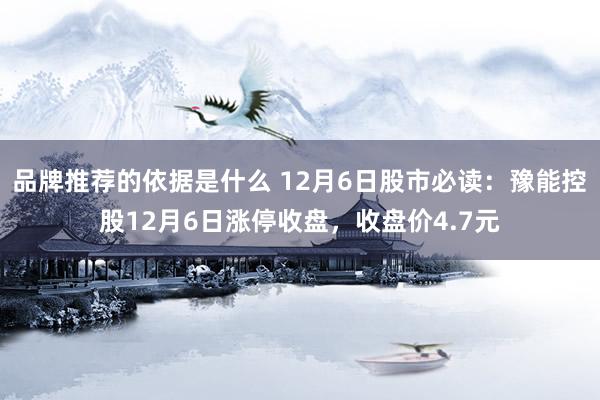 品牌推荐的依据是什么 12月6日股市必读：豫能控股12月6日涨停收盘，收盘价4.7元