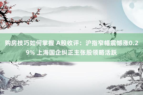 购房技巧如何掌握 A股收评：沪指窄幅震憾涨0.29% 上海国企纠正主张股领略活跃