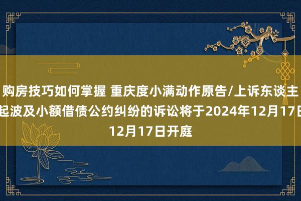 购房技巧如何掌握 重庆度小满动作原告/上诉东谈主的52起波及小额借债公约纠纷的诉讼将于2024年12月17日开庭