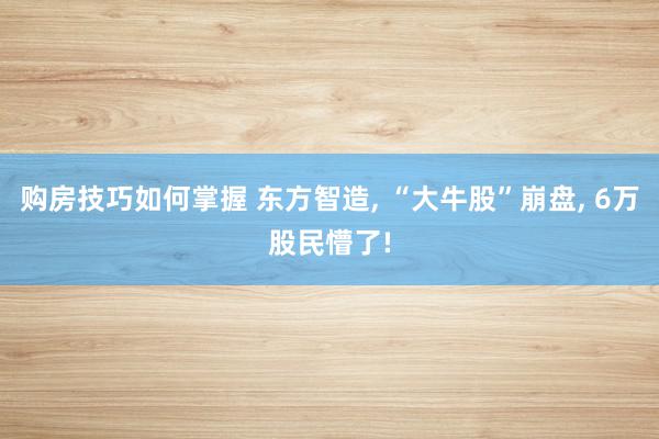 购房技巧如何掌握 东方智造, “大牛股”崩盘, 6万股民懵了!