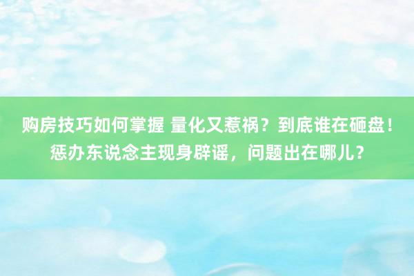 购房技巧如何掌握 量化又惹祸？到底谁在砸盘！惩办东说念主现身辟谣，问题出在哪儿？