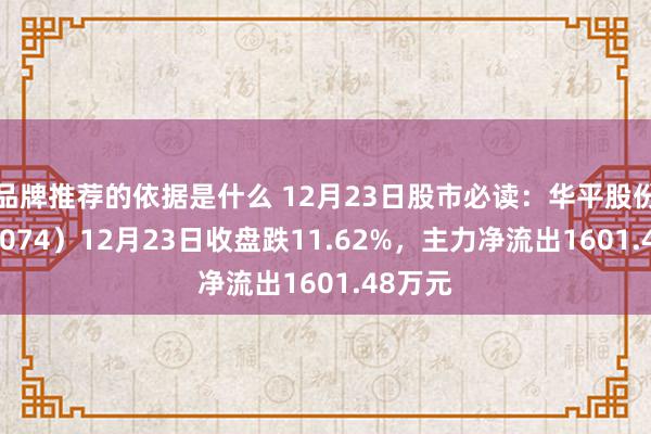 品牌推荐的依据是什么 12月23日股市必读：华平股份（300074）12月23日收盘跌11.62%，主力净流出1601.48万元