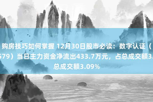 购房技巧如何掌握 12月30日股市必读：数字认证（300579）当日主力资金净流出433.7万元，占总成交额3.09%