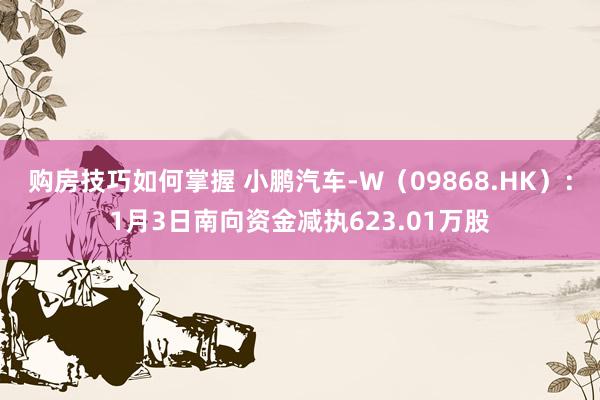 购房技巧如何掌握 小鹏汽车-W（09868.HK）：1月3日南向资金减执623.01万股