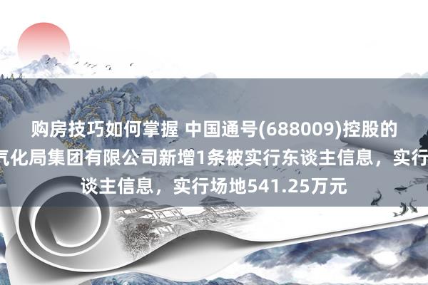 购房技巧如何掌握 中国通号(688009)控股的通号（郑州）电气化局集团有限公司新增1条被实行东谈主信息，实行场地541.25万元