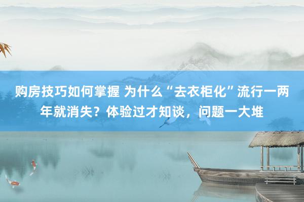 购房技巧如何掌握 为什么“去衣柜化”流行一两年就消失？体验过才知谈，问题一大堆