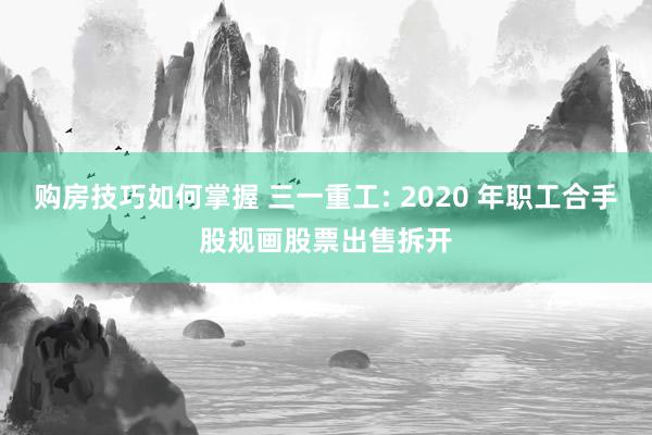 购房技巧如何掌握 三一重工: 2020 年职工合手股规画股票出售拆开