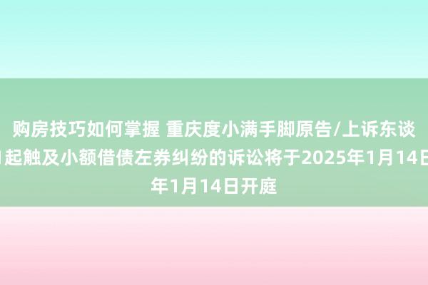 购房技巧如何掌握 重庆度小满手脚原告/上诉东谈主的1起触及小额借债左券纠纷的诉讼将于2025年1月14日开庭