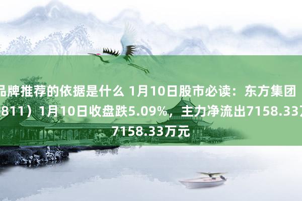 品牌推荐的依据是什么 1月10日股市必读：东方集团（600811）1月10日收盘跌5.09%，主力净流出7158.33万元