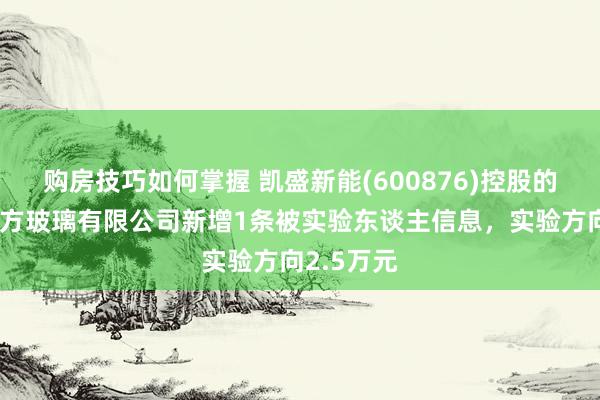 购房技巧如何掌握 凯盛新能(600876)控股的秦皇岛朔方玻璃有限公司新增1条被实验东谈主信息，实验方向2.5万元