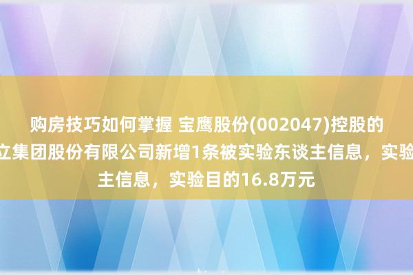 购房技巧如何掌握 宝鹰股份(002047)控股的深圳市宝鹰竖立集团股份有限公司新增1条被实验东谈主信息，实验目的16.8万元