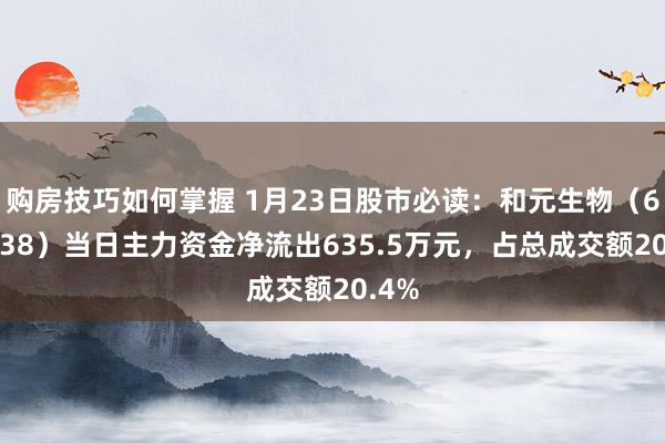 购房技巧如何掌握 1月23日股市必读：和元生物（688238）当日主力资金净流出635.5万元，占总成交额20.4%