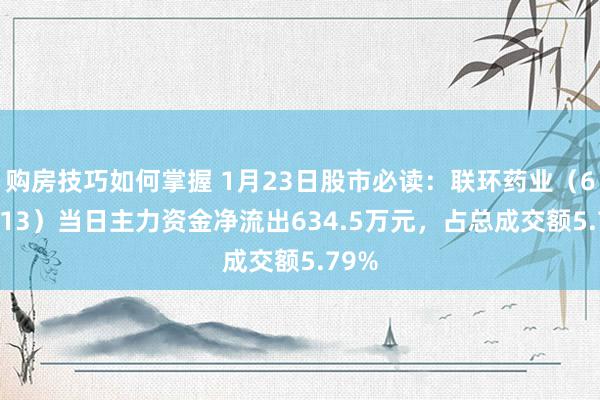 购房技巧如何掌握 1月23日股市必读：联环药业（600513）当日主力资金净流出634.5万元，占总成交额5.79%