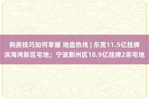 购房技巧如何掌握 地盘热线 | 东莞11.5亿挂牌滨海湾新区宅地；宁波鄞州区18.9亿挂牌2宗宅地