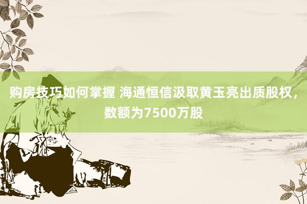 购房技巧如何掌握 海通恒信汲取黄玉亮出质股权，数额为7500万股