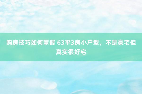 购房技巧如何掌握 63平3房小户型，不是豪宅但真实很好宅