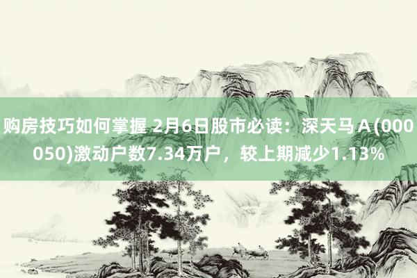 购房技巧如何掌握 2月6日股市必读：深天马Ａ(000050)激动户数7.34万户，较上期减少1.13%