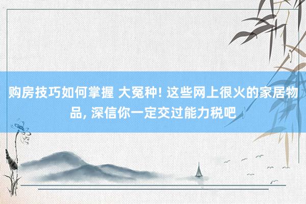 购房技巧如何掌握 大冤种! 这些网上很火的家居物品, 深信你一定交过能力税吧