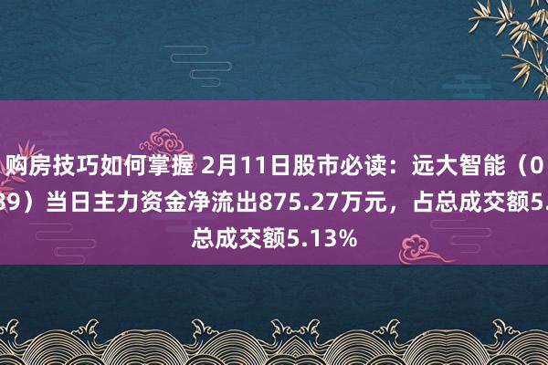 购房技巧如何掌握 2月11日股市必读：远大智能（002689）当日主力资金净流出875.27万元，占总成交额5.13%