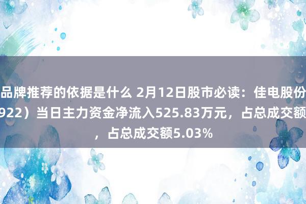 品牌推荐的依据是什么 2月12日股市必读：佳电股份（000922）当日主力资金净流入525.83万元，占总成交额5.03%