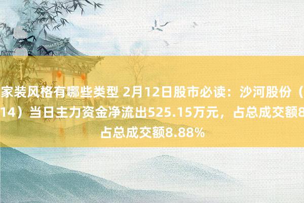 家装风格有哪些类型 2月12日股市必读：沙河股份（000014）当日主力资金净流出525.15万元，占总成交额8.88%