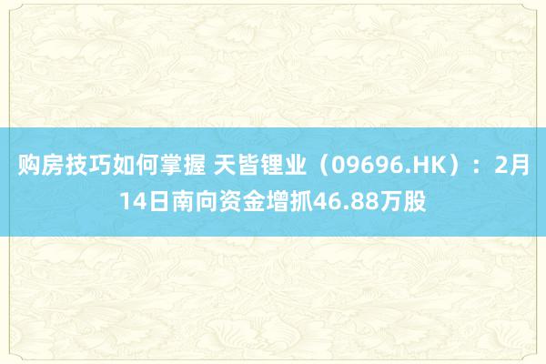 购房技巧如何掌握 天皆锂业（09696.HK）：2月14日南向资金增抓46.88万股