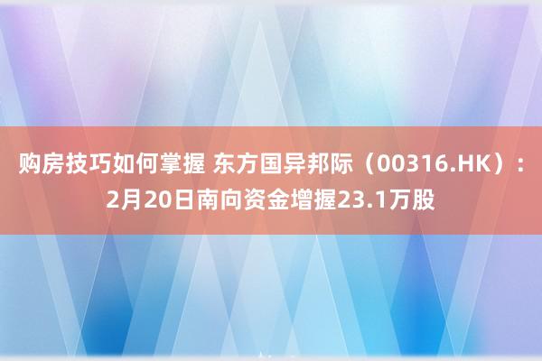 购房技巧如何掌握 东方国异邦际（00316.HK）：2月20日南向资金增握23.1万股