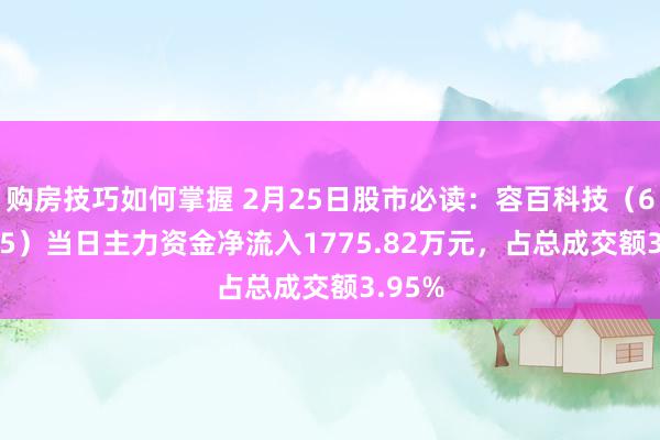 购房技巧如何掌握 2月25日股市必读：容百科技（688005）当日主力资金净流入1775.82万元，占总成交额3.95%