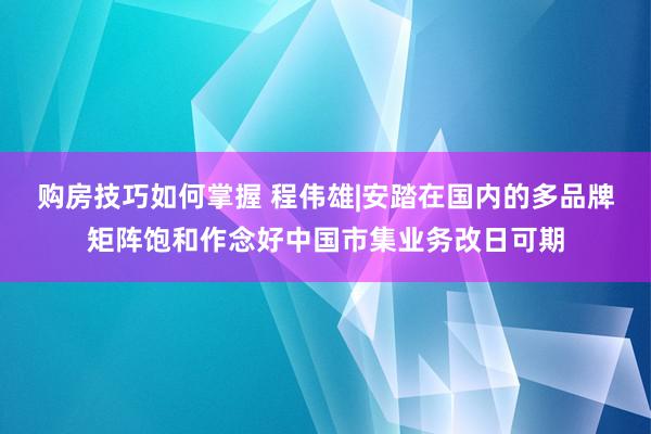 购房技巧如何掌握 程伟雄|安踏在国内的多品牌矩阵饱和作念好中国市集业务改日可期