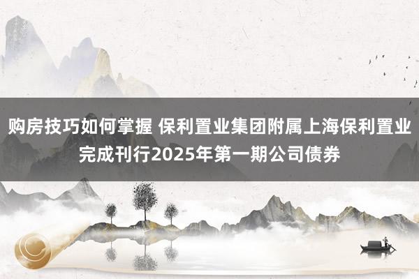 购房技巧如何掌握 保利置业集团附属上海保利置业完成刊行2025年第一期公司债券