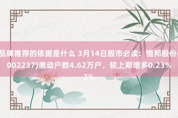 品牌推荐的依据是什么 3月14日股市必读：恒邦股份(002237)激动户数4.62万户，较上期增多0.23%